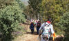 Una ruta senderista por la comarca de La Serena dar a conocer este sbado la trashumancia