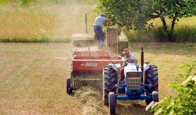 Consejera de Agricultura Ganadera y Desarrollo Sostenible contar en 2025 con 13139M